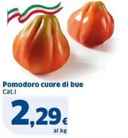 Sigma Pomodoro cuore di bue offerta