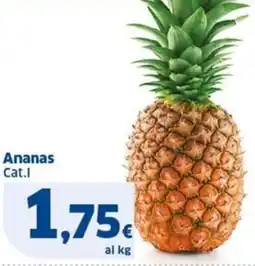 Sigma Ananas offerta