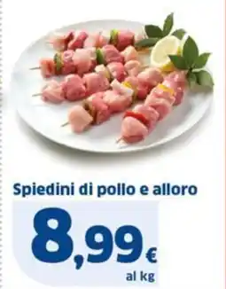 Sigma Spiedini di pollo e alloro offerta