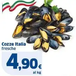 Sigma Cozze Italia fresche offerta