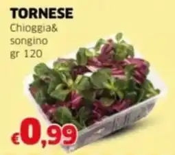 Mercati Alimentari TORNESE Chioggia& songino offerta