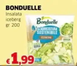 Mercati Alimentari BONDUELLE Insalata iceberg offerta