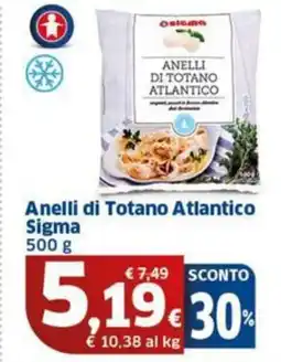 Sigma Sigma Anelli di Totano Atlantico offerta