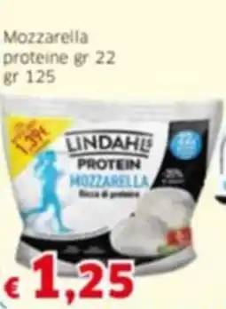 Mercati Alimentari LINDAHLS Mozzarella proteine offerta