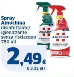 Sigma Amuchina Spray offerta