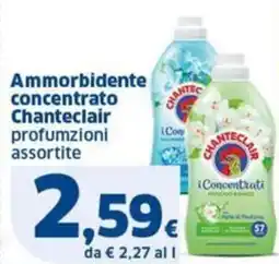 Sigma Chanteclair Ammorbidente concentrato offerta