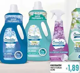 Famila Superstore Coccolatevi vetri e multiuso offerta