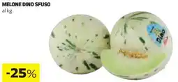 Coop Melone dino sfuso offerta