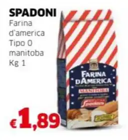 Mercati Alimentari SPADONI Farina d'america Tipo O manitoba offerta