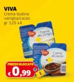 Mercati Alimentari VIVA Crema budino vaniglia/cacao offerta
