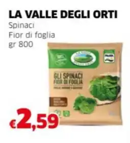 Mercati Alimentari LA VALLE DEGLI ORTI Spinaci Fior di foglia offerta