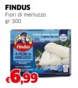 Mercati Alimentari FINDUS Fiori di merluzzo offerta