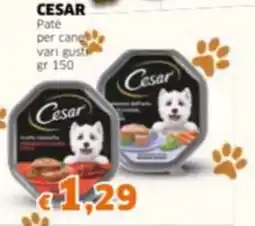 Mercati Alimentari CESAR Pate per cane vari gusti offerta