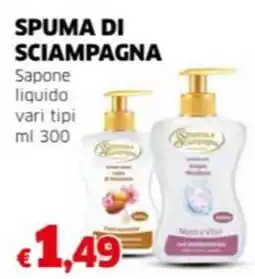 Mercati Alimentari SPUMA DI SCIAMPAGNA Sapone liquido vari tipi offerta
