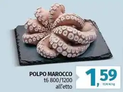 Pam Polpo marocco offerta