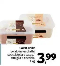 Pam CARTE D'OR gelato in vaschetta stracciatella e cacao/ vaniglia e nocciola offerta
