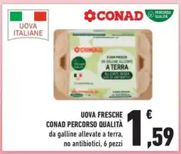 Conad Superstore Uova Fresche Conad Percorso Qualità offerta