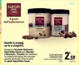 Conad Superstore GELATO MULTISTRATO SAPORI&IDEE CONAD offerta