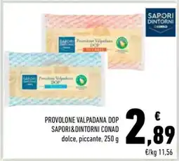 Conad Provolone Valpadana DOP Sapori&Dintorni Conad offerta