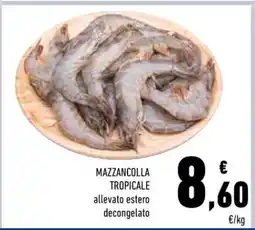 Conad Mazzancolla Tropicale offerta