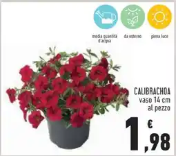 Conad CALIBRACHOA offerta