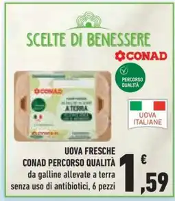 Conad Uova Fresche Conad Percorso Qualità offerta