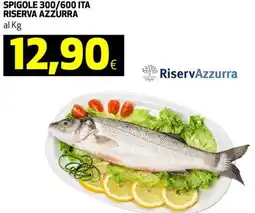 Coop Spigole 300/600 ita riserva azzurra offerta