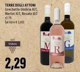 Emi Supermercati TERRE DEGLI ATTONI Grechetto Umbria IGT, Merlot IGT, Rosato IGT offerta