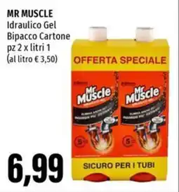 Emi Supermercati MR MUSCLE Idraulico Gel Bipacco Cartone offerta