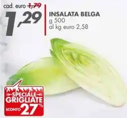 Italmark Insalata belga offerta