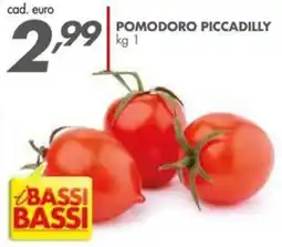 Italmark Pomodoro PICCADILLY offerta