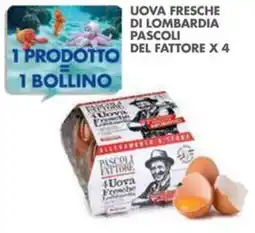 Italmark Uova fresche di lombardia pascoli DEL FATTORE offerta