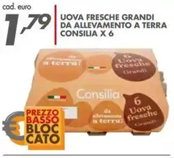 Italmark Uova fresche grandi da allevamento a terra CONSILIA offerta