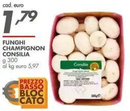 Italmark Funghi champignon CONSILIA offerta