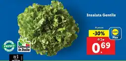 Lidl Insalata Gentile offerta