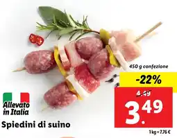 Lidl Spiedini di suino offerta