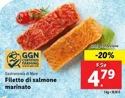 Lidl Gastronomia di Mare Filetto di salmone marinato offerta