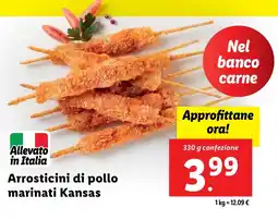 Lidl Arrosticini di pollo marinati Kansas offerta
