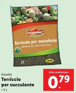 Lidl Grandiol Terriccio per succulente offerta
