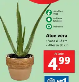 Lidl Aloe vera offerta