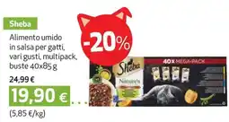 Coop Sheba alimento umido in salsa per gatti, vari gusti offerta