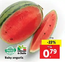 Lidl Baby anguria offerta