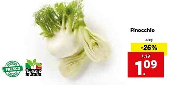 Lidl Finocchio offerta