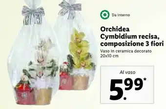Lidl Orchidea cynbidium recisa 3 fiori vaso 20x10 cm offerta