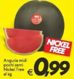 Iper Super Conveniente Anguria midi pochi semi Nickel Free offerta