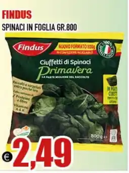 Big Food Findus spinaci in foglia offerta