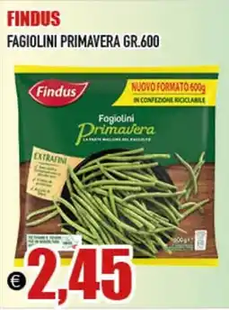 Big Food Findus fagiolini primavera offerta