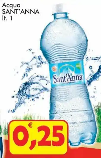 Paghi Poco Sant'Anna Acqua 1 lt offerta