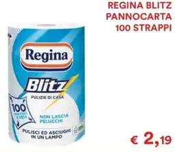 Coop Regina blitz pannocarta 100 strappi offerta