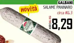 Big Food Galbani salame paninaro offerta